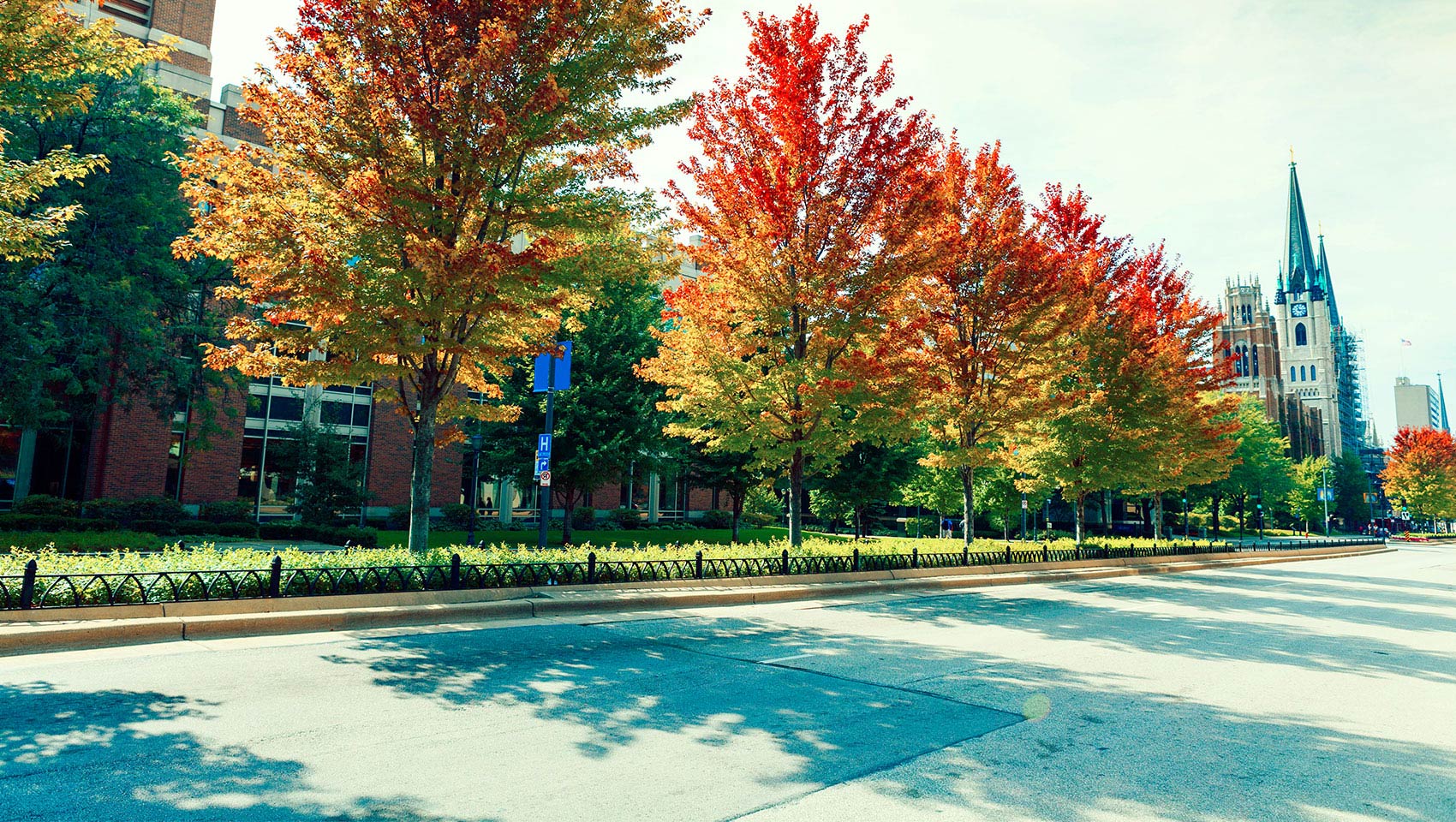 Marquette University