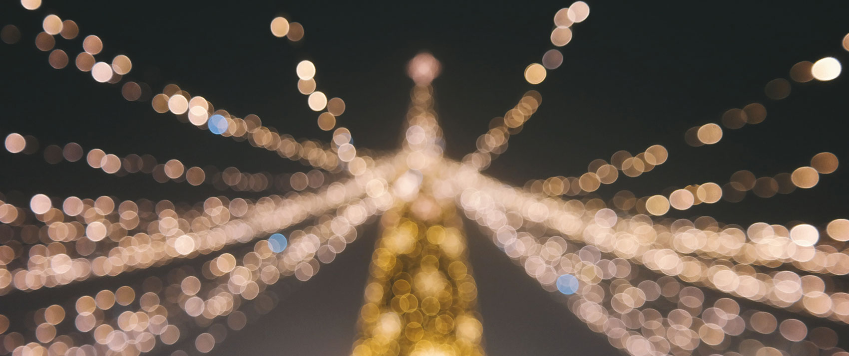 , Photo by Brigitte Tohm on Unsplash